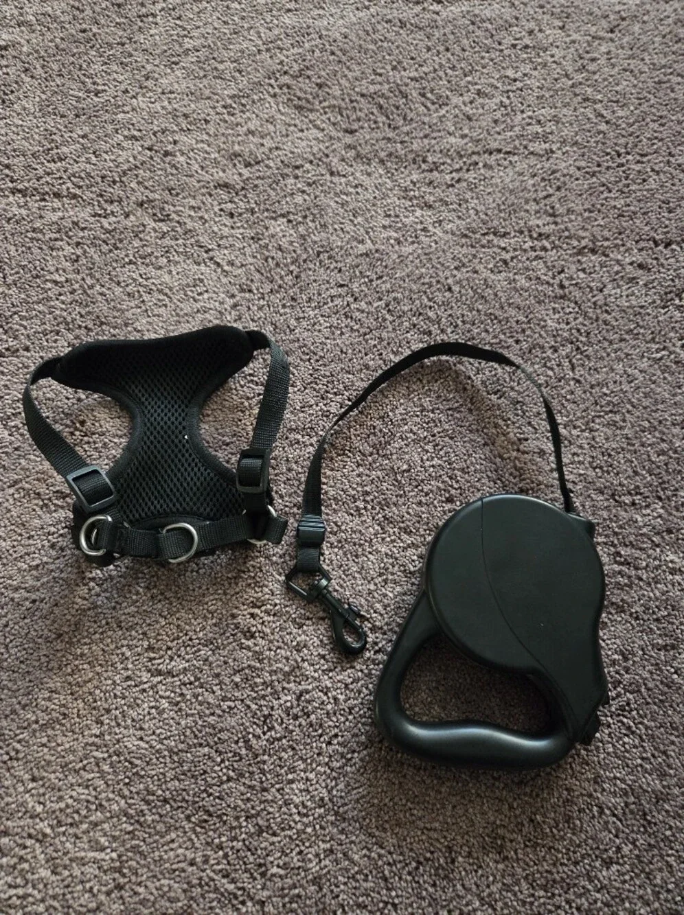Dog Harness XS and Retractable Leash